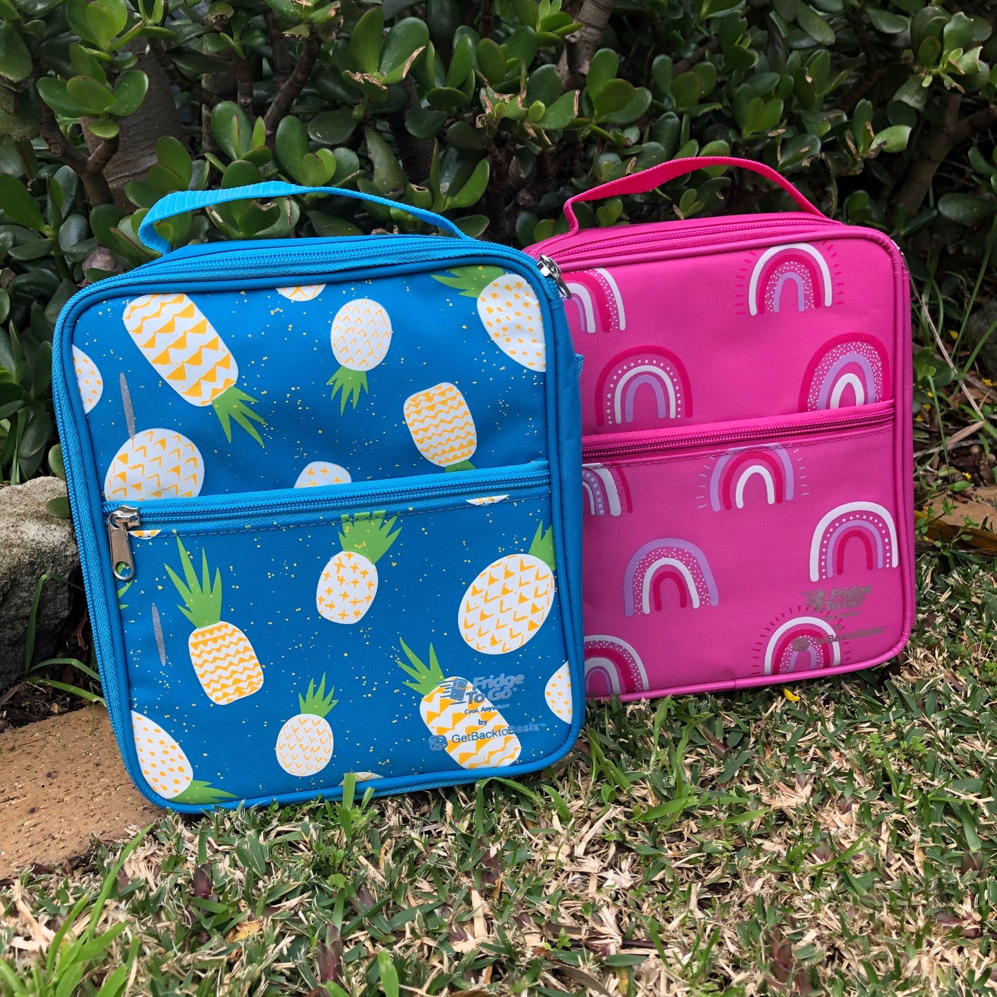 Fridge to Go Lunch Box - Rainbow