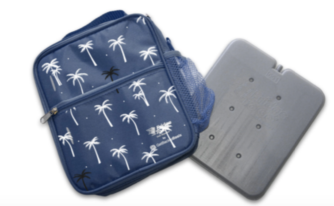 Fridge to Go Lunch Box - Palm